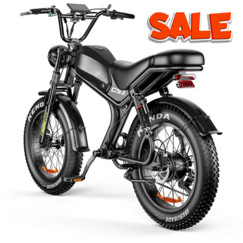 PowerRide™ 1000W Fat Tire E-Bike